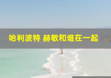 哈利波特 赫敏和谁在一起